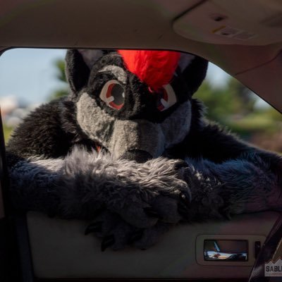 Kettu The Car Fox