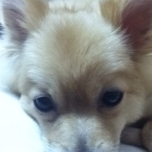 tabamikan's profile picture. デザイン系の仕事をしているサラリーマン。 共感するツイートを情報収集しています。出会い等は求めておりません。