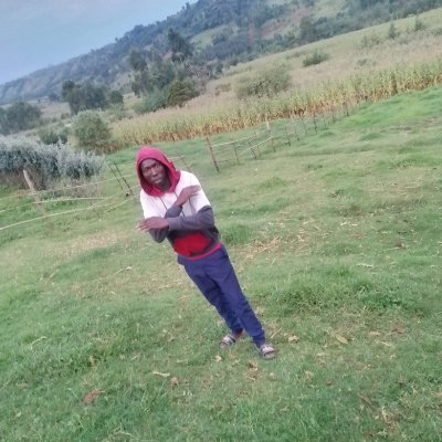 kesosio20483's profile picture. Student at sensei institute of technology