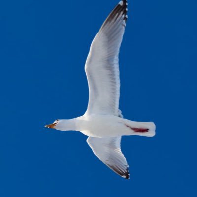 yanqiu0914's profile picture. 
