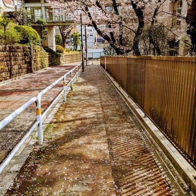 3vUwpEbkKrWV21P's profile picture. 徳川家康公大好き人間!そして江戸由来の東京人です。加えて幕末の偉人小栗上野介忠順さんを尊敬しています。