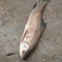 Saradhi Saradhi (@saradhisaradhi7) 's Twitter Profile Photo Saradhi Saradhi (@saradhisaradhi7) 's Twitter Profile Photo