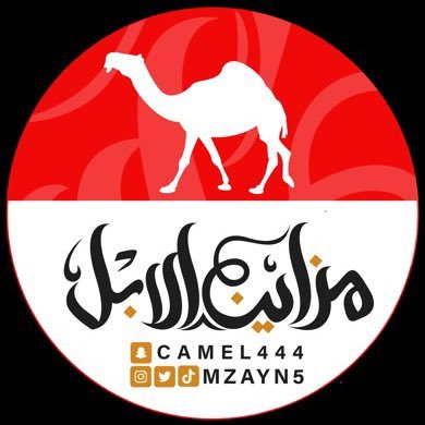 🔥هذا الحساب متخصص لعرض الابل ⚡️ 💢اخبار مزاين الابل عامه💢 👔بإدارة بندر_الرقاص 👔 💥0555812664💥