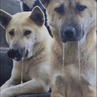 中国站街 (@chereedoig4605) 's Twitter Profile