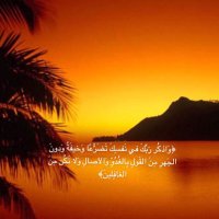أبو عمر (@ali__abdullah4) 's Twitter Profile
