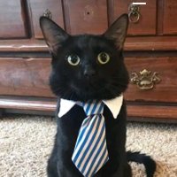 pommitimo (@pommitimo) 's Twitter Profile Photo pommitimo (@pommitimo) 's Twitter Profile Photo