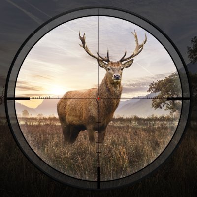 #HuntingSniper Get your hunting guns and hunt against others!