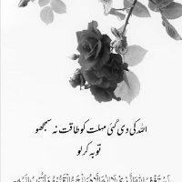 Noor ul hassan (@noorulh312) 's Twitter Profile Photo Noor ul hassan (@noorulh312) 's Twitter Profile Photo