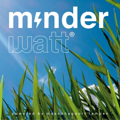 Businessunit van Maas & Hagoort Lampen | Specialist op gebied van energiebesparing | Duurzame verlichting | Gratis energiescan | Eigen webshop | Blauwe energie