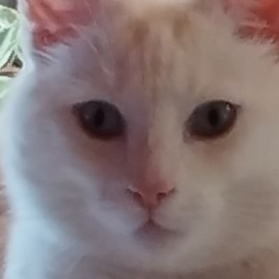 kistenmac1's profile picture. 