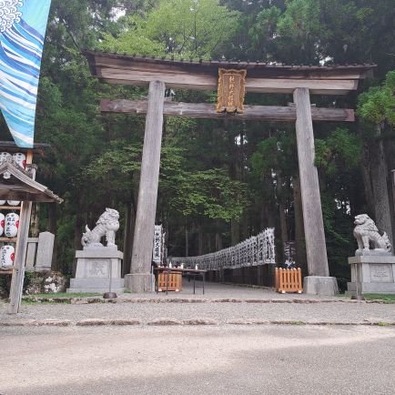 w5nb4ABJhLdc956's profile picture. 