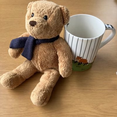 英語学習🇬🇧が趣味の大学生です。テディベア🧸と珈琲☕️も大好きです。のんびりマイペースでやっています。