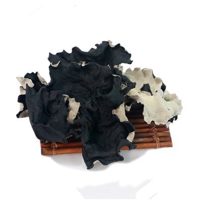 LijiaoZheng's profile picture. A farmer of black fungus mushrooms from China, owning planting bases and drying bases. Please contact with me, if you want to know the price and quality.