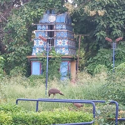 drnidhimall's profile picture. From Noida