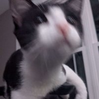 RoyalZK (@royal_zk) 's Twitter Profile