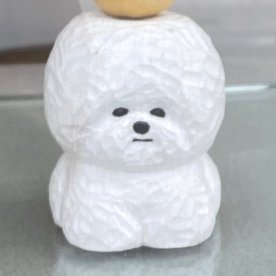 犬飼さんのプロフィール画像