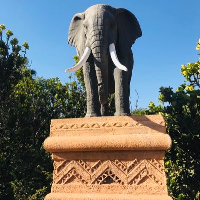 Andrew648626's profile picture. 严格遵守Twitter 规则～