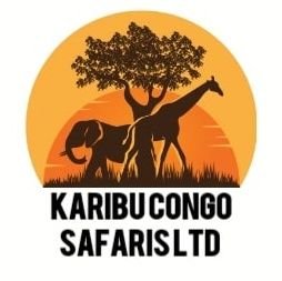 We offer Tours in Congo, Rwanda, Burundi, Uganda, Kenya and Tanzania