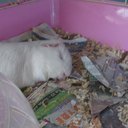 phoebe evans - @phoebeevans2 - Twitter