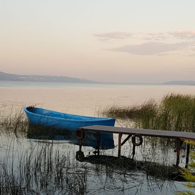 mfatihkaya08's profile picture. "آفة العلوم: التوارد".