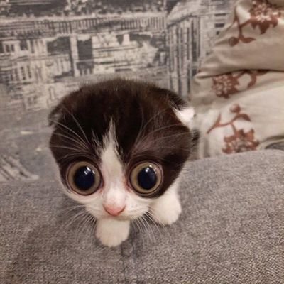 xjucelio's profile picture. 