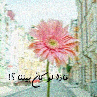لو كان النبي صلي الله عليه وسلم بيننا Home Facebook