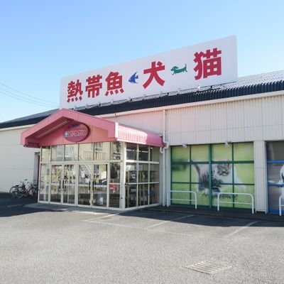 かねだい海老名店公式アカウントです。セール情報や入荷情報などを掲載しています。
発信専用の為返信はできません、値段や在庫のお問い合わせはお電話にて店舗へお問い合わせ下さい。

※前アカウントへログインできないため2023年9月よりこちらのアカウントを使用しております、フォローお願い致します。