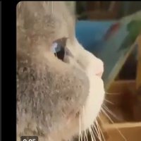 Indeed Seoltangi moved to 🦋l🐈 💙💛 🟣😷 (@icareyesido) 's Twitter Profile Photo Indeed Seoltangi moved to 🦋l🐈 💙💛 🟣😷 (@icareyesido) 's Twitter Profile Photo