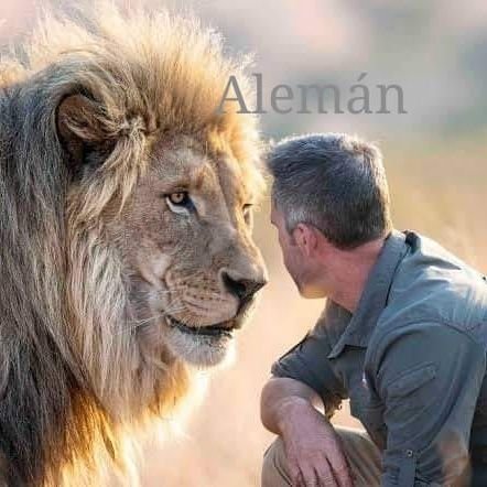 GermanTiwari's profile picture. 🐯खरी-खरी🖋स्वतंत्र विचार 🇮🇳
🚩जय भारत 🇮🇳अखण्ड भारत 🇮🇳 🚩जय सनातन 🚩🕺🕺🕺मेरे जैसा सोचते हो तो साथ खड़े 🕺🕺हों !
🕺🕺🕺🕺🕺🕺🕺🕺