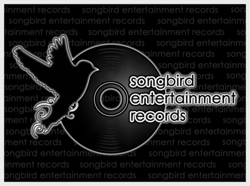 The Official Songbird Entertainment Records twitter page. Follow us and we'll promote whatever you want us to promote for you!!