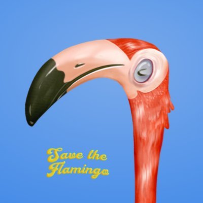 flamingocoinerc Profile Picture