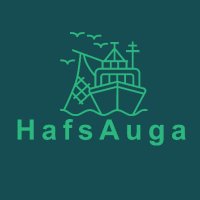 HafsAuga (@hafsauga) 's Twitter Profile