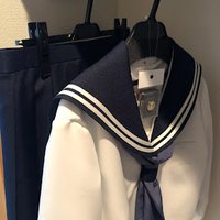 やなぎ (@salix_liu) 's Twitter Profile