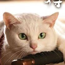 tamanojyou_'s profile picture. 