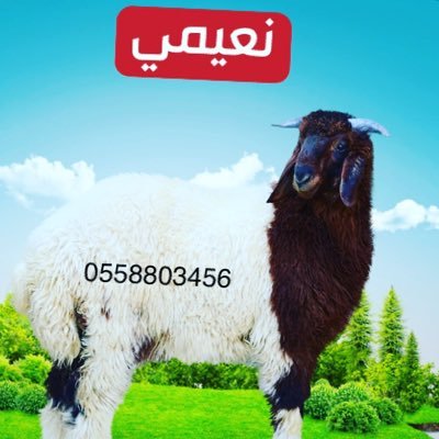 توصيل ذبيحتك لبيتك / الرياض تقطيع حسب طلب الزبون .نجدي نعيمي - حري - تيوس https://t.co/kQJHFoM9Z8