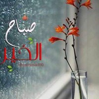 Abou Diana (@abou_diana60) Twitter profile photo