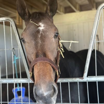 Aspiring thoroughbred breeder, West Point Thoroughbreds partner, and supporter of OTTB aftercare