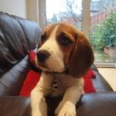 Bailey Button Booth - @ButtonBailey - Twitter