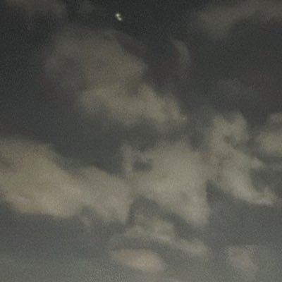 paopaomin0's profile picture. 