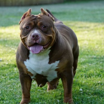 david94144930's profile picture. 