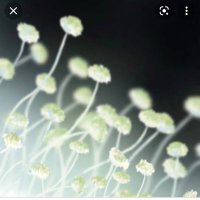 coinA (@coinay7) 's Twitter Profile