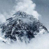 ๐Stormy_Everest (@hakol_tov) 's Twitter Profile Photo ๐Stormy_Everest (@hakol_tov) 's Twitter Profile Photo