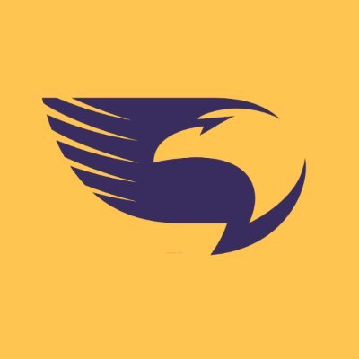 WingsOnlineUK Profile Picture