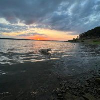 OA Truzo (@itstruzo) 's Twitter Profile