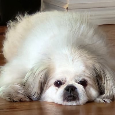 JackLuckSack's profile picture. steve main, z drop nair masher, and apparently a bad apple content creator.
also made a cool stick once. working on a card sorting robot.

#bansteve