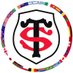 Stade Toulousain (English) (@STrugby_ENG) Twitter profile photo