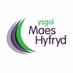 Ysgol Maes Hyfryd (@mhyfryd) Twitter profile photo