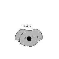、 (@uraraka____q) 's Twitter Profile