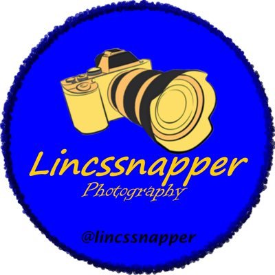 lincssnapper Profile Picture