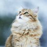 roca_rocca_roca's profile picture. #2020nov_baby  主に息子を愛でるアカウント。